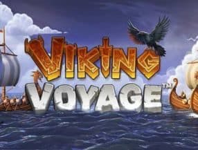 Viking Voyage